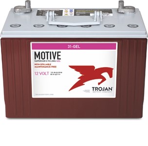 Trojan 31GEL