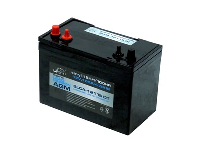 SLCA-12115DT Leoch Lead Carbon AGM Battery